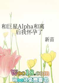 小说和巨星Alpha和离后我怀孕了